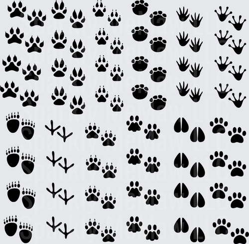 Multiple Wild Animal Tracks Pattern Sheet – This is a 10x10 Inch Sheet