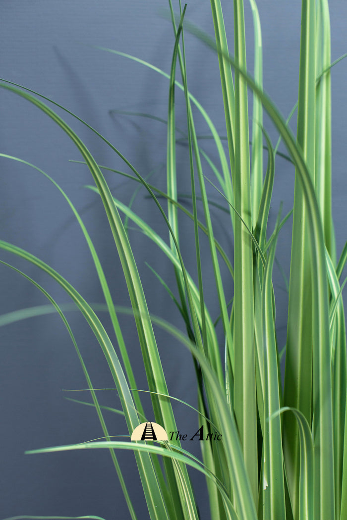Phormium High Grass Faux Plant, Artificial Plant - theatticdubai.com
