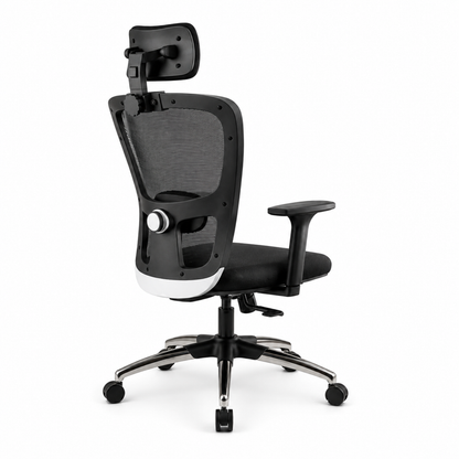 Premium Ergonomic High Back Mesh Office Chair with Adjustable Headrest, Lumbar Support, Height Adjustment, Swivel Computer Chair for Home Office & Workspace
