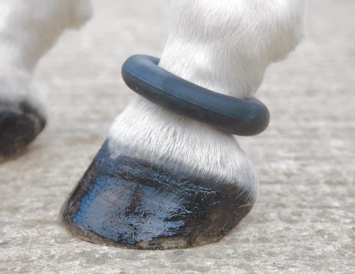 Shires Fetlock Ring - Black -