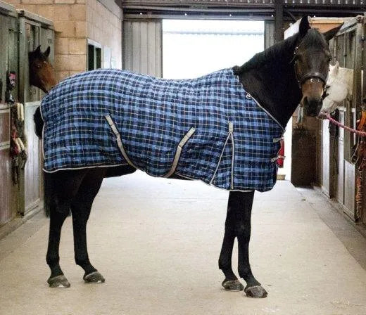 Storm Equine Stable Rug - Standard Neck - 100g Fill - 5ft -
