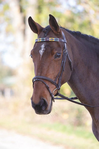 Velociti GARA Leather Polo Browband - Purple/Dark Green/Yellow - Cob