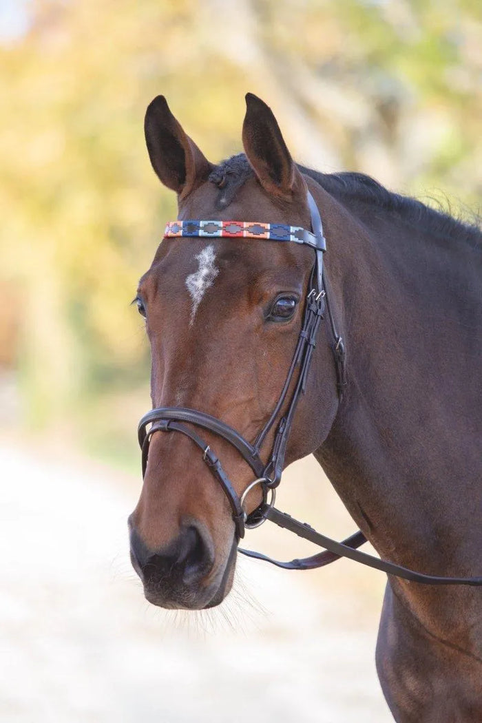Velociti GARA Leather Polo Browband - Purple/Dark Green/Yellow - Cob