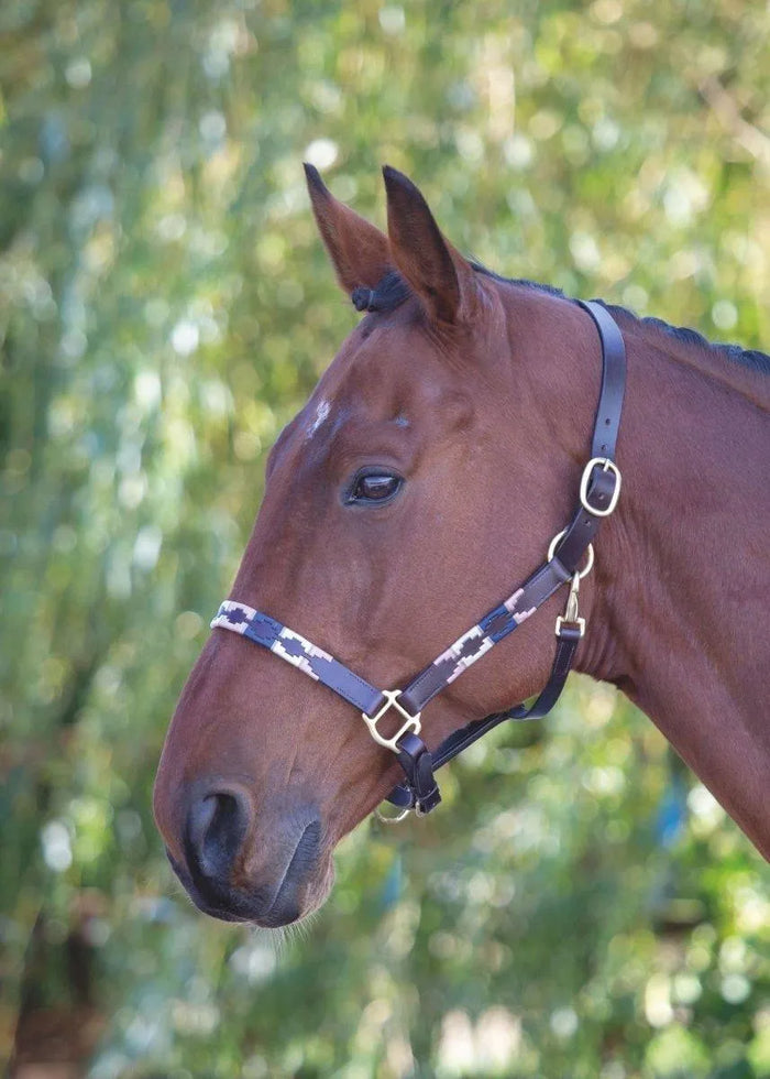 Velociti GARA Leather Polo Headcollar - Purple/Dark Green/Yellow - Cob