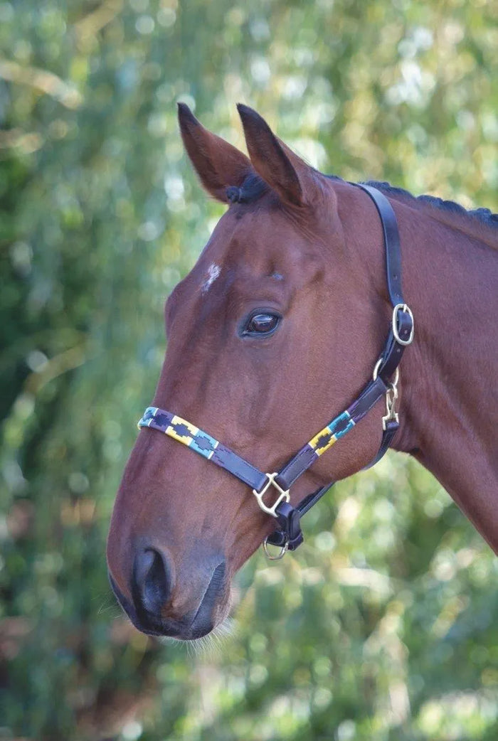 Velociti GARA Leather Polo Headcollar - Purple/Dark Green/Yellow - Cob