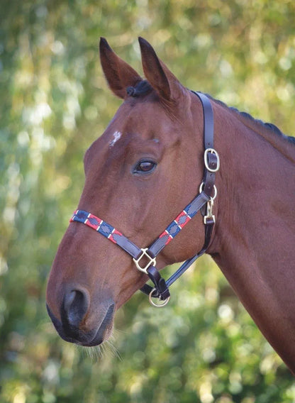 Velociti GARA Leather Polo Headcollar - Purple/Dark Green/Yellow - Cob