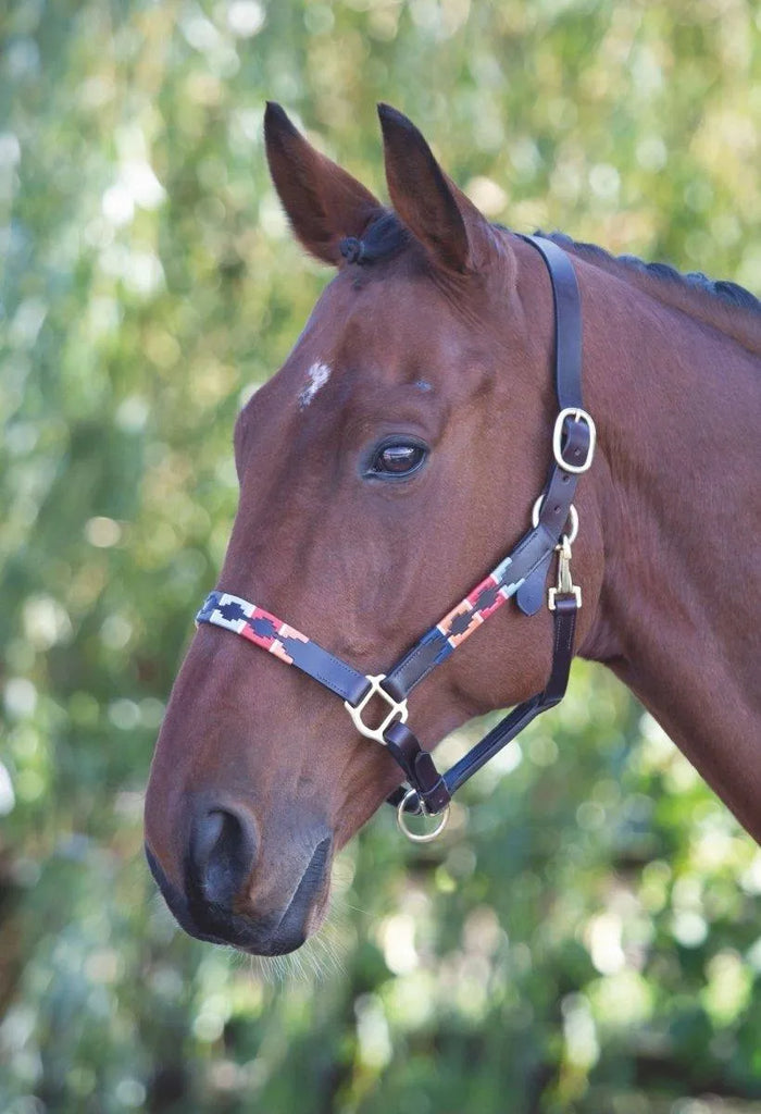 Velociti GARA Leather Polo Headcollar - Purple/Dark Green/Yellow - Cob