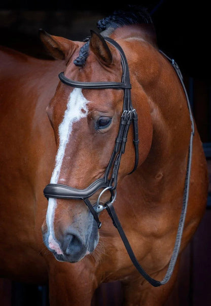 Velociti RAPIDA Ergonomic Flash Bridle - Black - Cob
