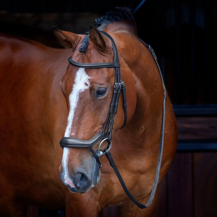 Velociti RAPIDA Ergonomic Flash Bridle - Black - Cob