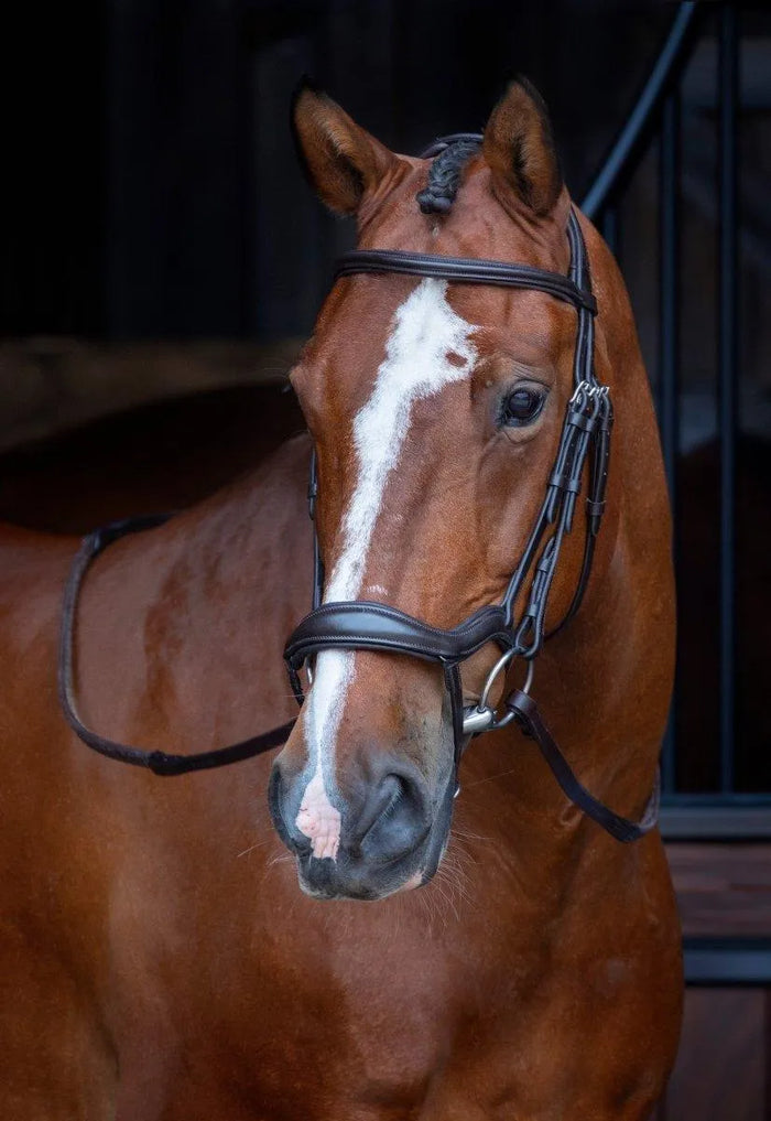 Velociti RAPIDA Ergonomic Flash Bridle - Black - Cob