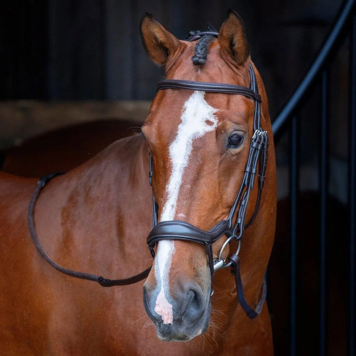 Velociti RAPIDA Ergonomic Flash Bridle - Black - Cob