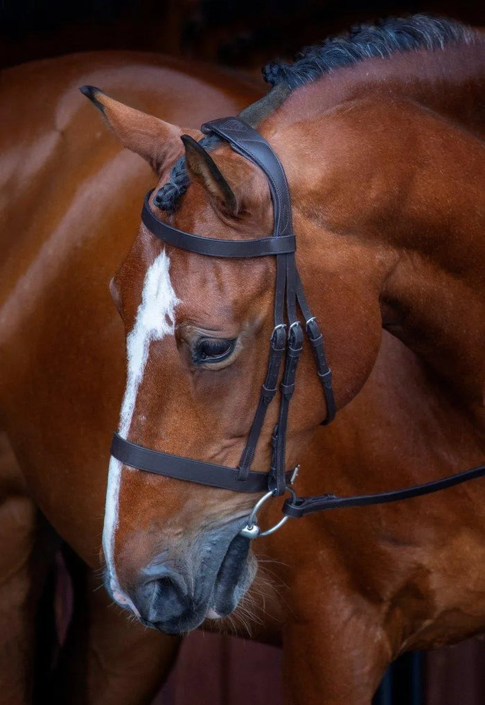Velociti RAPIDA Hunter Cavesson Bridle - Black - Cob