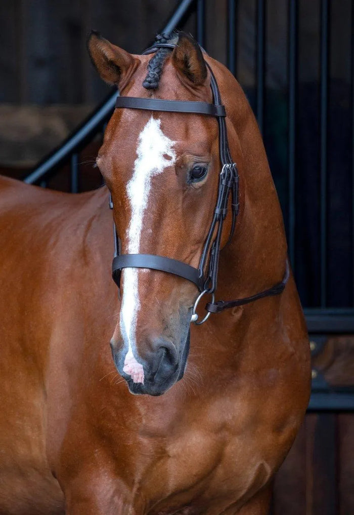 Velociti RAPIDA Hunter Cavesson Bridle - Black - Cob