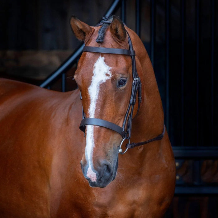 Velociti RAPIDA Hunter Cavesson Bridle - Black - Cob