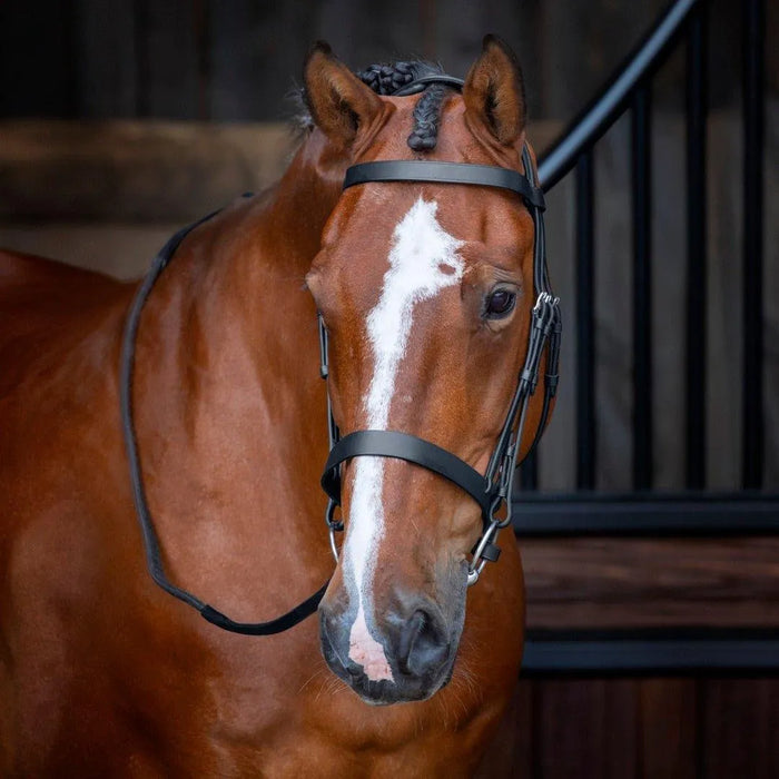 Velociti RAPIDA Hunter Cavesson Bridle - Black - Cob
