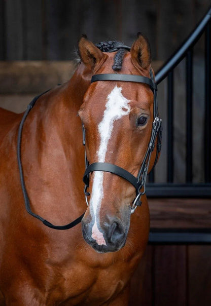 Velociti RAPIDA Hunter Cavesson Bridle - Black - Cob