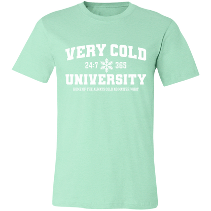 Very Cold University graphic t-shirt in Heather Mint