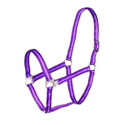 Wessex Headcollar - Purple/Lilac - Cob