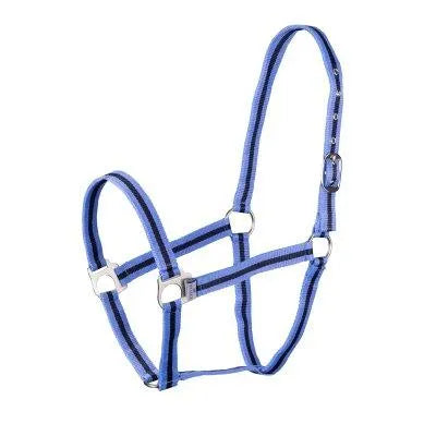 Wessex Headcollar - Cambridge/Navy - Cob