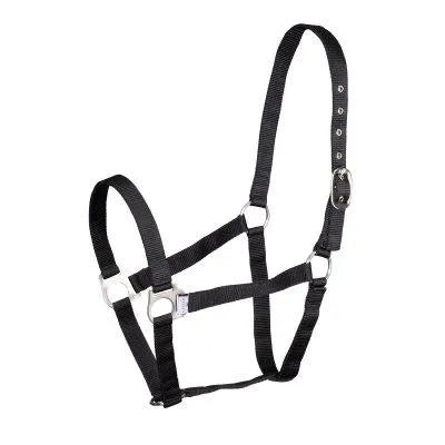 Wessex Headcollar - Black - Cob