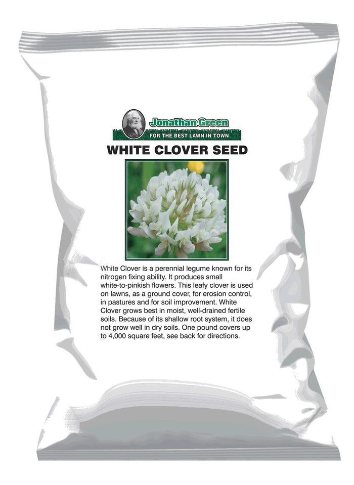 White Clover Seed