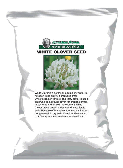 White Clover Seed